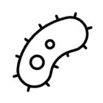 screenshot+2025 05 26+at+9.45.59 am 1920w